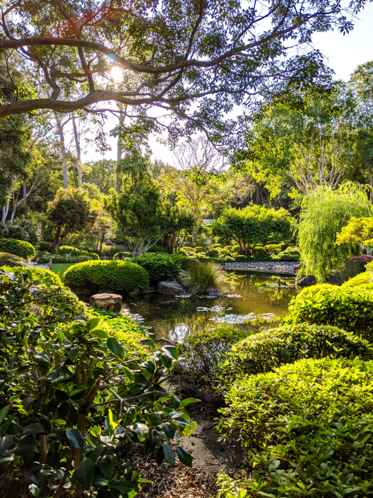 Botanical Garden in Brisbane