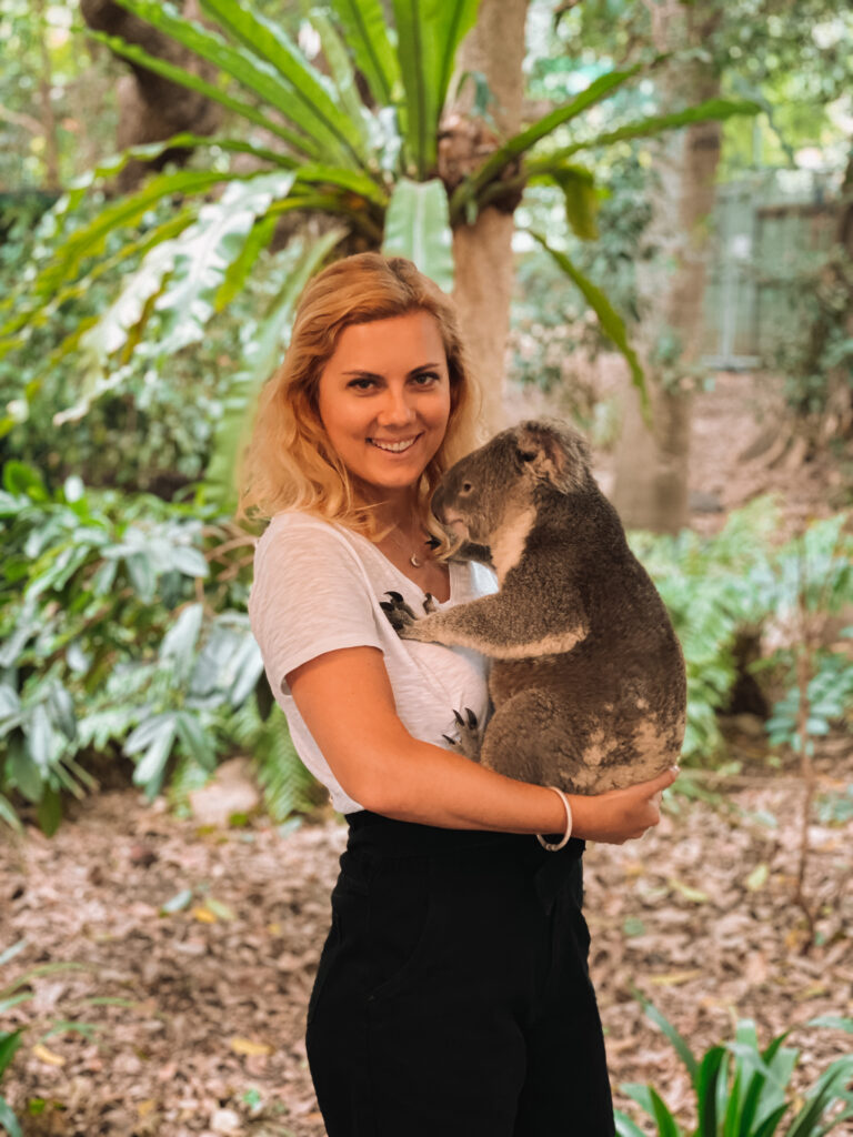 holding a koala